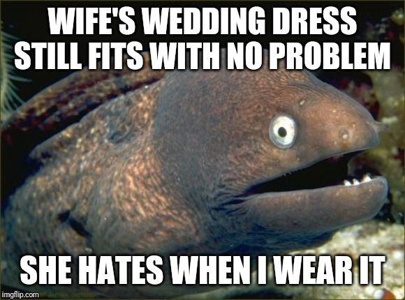 Bad Joke Eel Meme Imgflip
