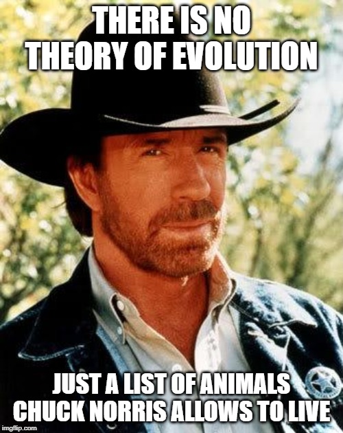 Screw Darwin! | THERE IS NO THEORY OF EVOLUTION; JUST A LIST OF ANIMALS CHUCK NORRIS ALLOWS TO LIVE | image tagged in memes,chuck norris | made w/ Imgflip meme maker