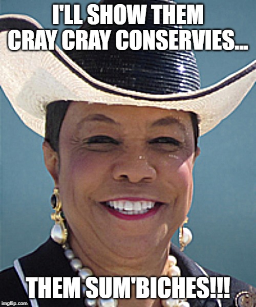 Freakarica Wilson | I'LL SHOW THEM CRAY CRAY CONSERVIES... THEM SUM'BICHES!!! | image tagged in sum'bich,politics,florida | made w/ Imgflip meme maker