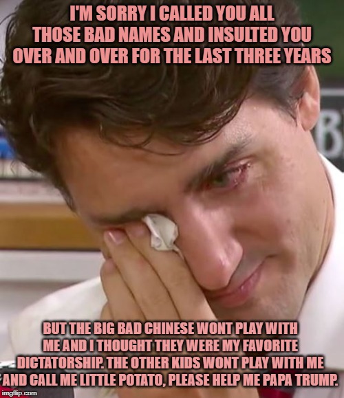 He was not ready | I'M SORRY I CALLED YOU ALL THOSE BAD NAMES AND INSULTED YOU OVER AND OVER FOR THE LAST THREE YEARS; BUT THE BIG BAD CHINESE WONT PLAY WITH ME AND I THOUGHT THEY WERE MY FAVORITE DICTATORSHIP. THE OTHER KIDS WONT PLAY WITH ME AND CALL ME LITTLE POTATO, PLEASE HELP ME PAPA TRUMP. | image tagged in justin trudeau crying,justin trudeau,trudeau,china,meanwhile in canada,donald trump | made w/ Imgflip meme maker