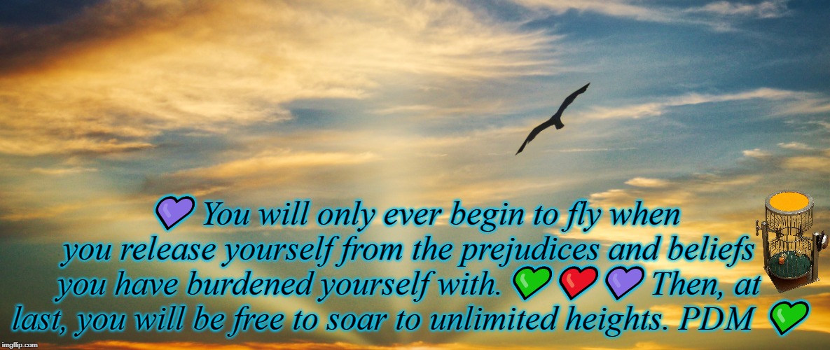 FLY | 💜 You will only ever begin to fly when you release yourself from the prejudices and beliefs you have burdened yourself with.💚❤️💜 Then, at last, you will be free to soar to unlimited heights. PDM 💚 | image tagged in fly | made w/ Imgflip meme maker