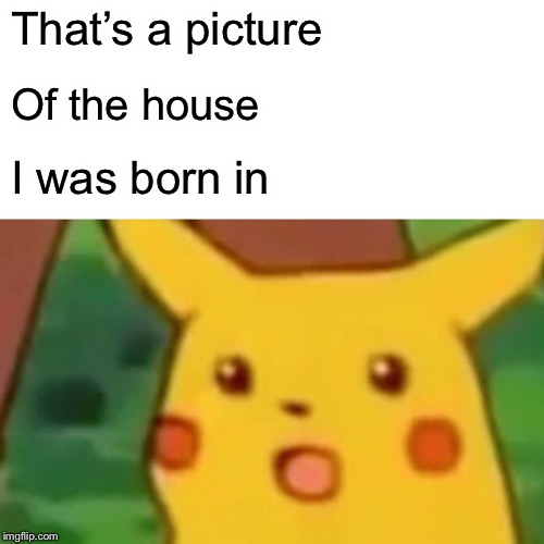 Surprised Pikachu Meme | That’s a picture Of the house I was born in | image tagged in memes,surprised pikachu | made w/ Imgflip meme maker