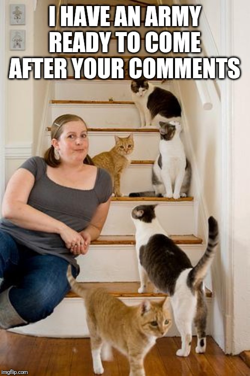 SJW's and their Army | I HAVE AN ARMY READY TO COME AFTER YOUR COMMENTS | image tagged in sjw,crazy cat lady,social media,liberals | made w/ Imgflip meme maker