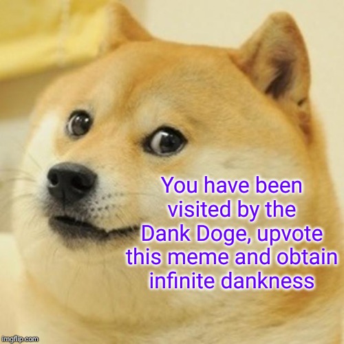 Doge | You have been visited by the Dank Doge, upvote this meme and obtain infinite dankness | image tagged in memes,doge | made w/ Imgflip meme maker