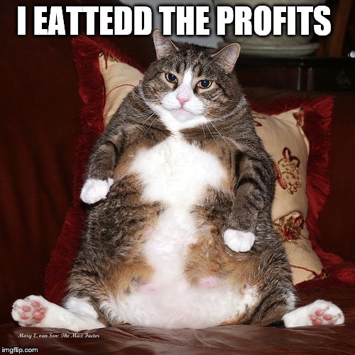 Fat cat | I EATTEDD THE PROFITS | image tagged in fat cat | made w/ Imgflip meme maker