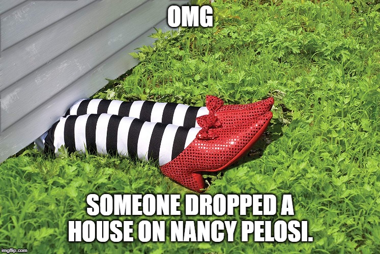 Nancy Pelosi | OMG; SOMEONE DROPPED A HOUSE ON NANCY PELOSI. | image tagged in nancy pelosi,wicked witch | made w/ Imgflip meme maker