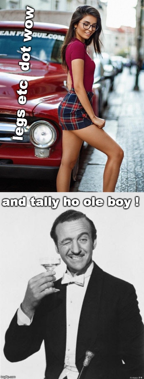 iiimagimmerflip stream legsetc and babe der licious. happy july 4th !! | legs etc  dot wow; and tally ho ole boy ! | image tagged in good manners,brunette,skirt,meme dream,pretty girl | made w/ Imgflip meme maker
