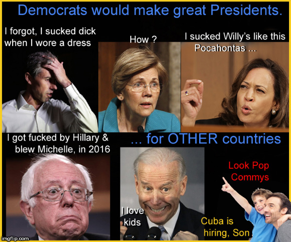 Democrats would make great  Presidents | image tagged in democrats,presidential race,election 2020,lol so funny,politics lol,funny memes | made w/ Imgflip meme maker