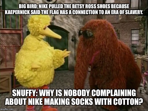 What about Nike socks? They have cotton. | BIG BIRD: NIKE PULLED THE BETSY ROSS SHOES BECAUSE KAEPERNICK SAID THE FLAG HAS A CONNECTION TO AN ERA OF SLAVERY. SNUFFY: WHY IS NOBODY COMPLAINING ABOUT NIKE MAKING SOCKS WITH COTTON? | image tagged in memes,big bird and snuffy,nike,shoes,colin kaepernick,flag | made w/ Imgflip meme maker