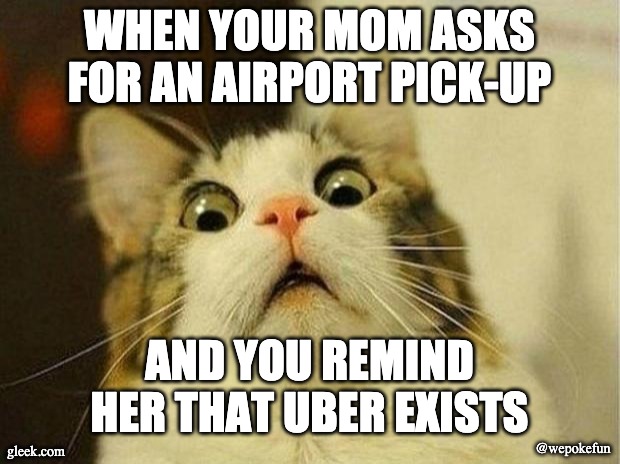 Scared Cat Meme | WHEN YOUR MOM ASKS FOR AN AIRPORT PICK-UP; AND YOU REMIND HER THAT UBER EXISTS; @wepokefun; gleek.com | image tagged in memes,scared cat | made w/ Imgflip meme maker