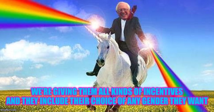 Bernie Sanders on magical unicorn | WE’RE GIVING THEM ALL KINDS OF INCENTIVES AND THEY INCLUDE THEIR CHOICE OF ANY GENDER THEY WANT | image tagged in bernie sanders on magical unicorn | made w/ Imgflip meme maker