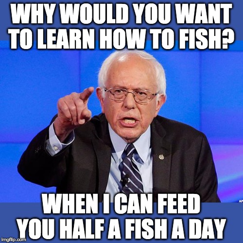 Let the wise man speak! | WHY WOULD YOU WANT TO LEARN HOW TO FISH? WHEN I CAN FEED YOU HALF A FISH A DAY | image tagged in bernie sanders | made w/ Imgflip meme maker