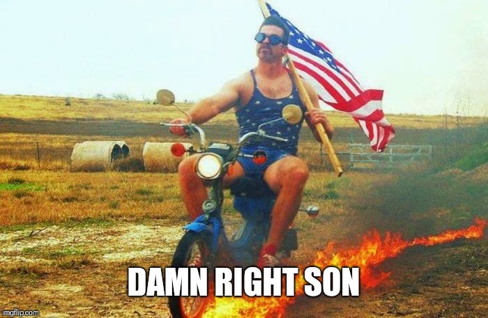 'merica scooter | DAMN RIGHT SON | image tagged in 'merica scooter | made w/ Imgflip meme maker