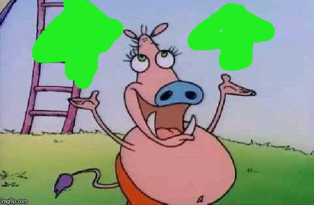 wild pig rocko | image tagged in wild pig rocko | made w/ Imgflip meme maker