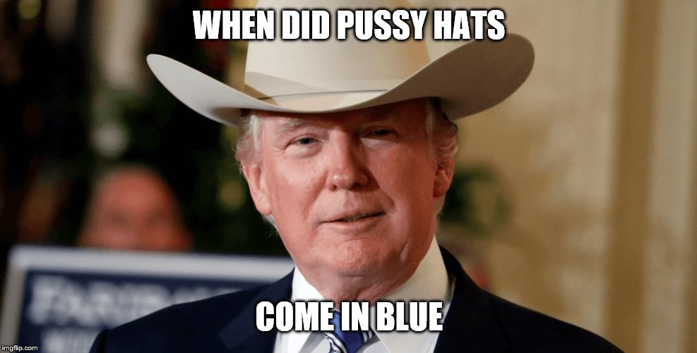 Big Hat No Cattle | WHEN DID PUSSY HATS COME IN BLUE | image tagged in big hat no cattle | made w/ Imgflip meme maker