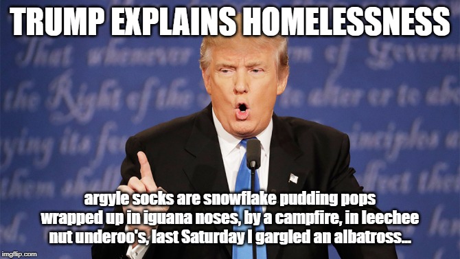 Donald Trump Wrong | TRUMP EXPLAINS HOMELESSNESS; argyle socks are snowflake pudding pops wrapped up in iguana noses, by a campfire, in leechee nut underoo's, last Saturday I gargled an albatross... | image tagged in donald trump wrong | made w/ Imgflip meme maker
