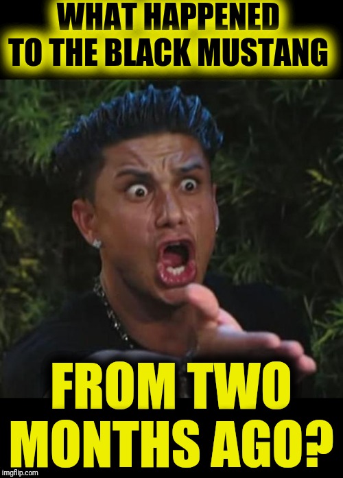 DJ Pauly D Meme | WHAT HAPPENED TO THE BLACK MUSTANG FROM TWO MONTHS AGO? | image tagged in memes,dj pauly d | made w/ Imgflip meme maker