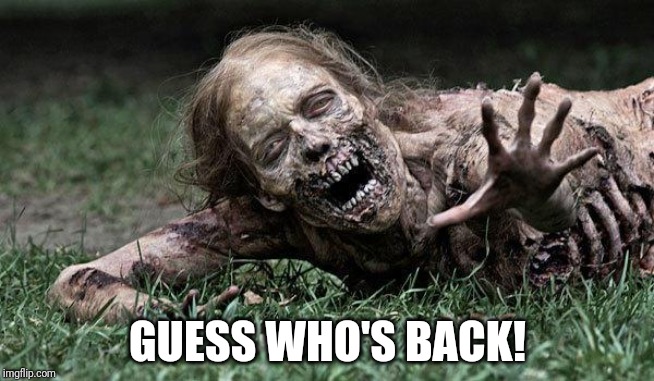 Walking Dead Zombie | GUESS WHO'S BACK! | image tagged in walking dead zombie | made w/ Imgflip meme maker