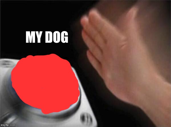 Blank Nut Button Meme | MY DOG | image tagged in memes,blank nut button | made w/ Imgflip meme maker