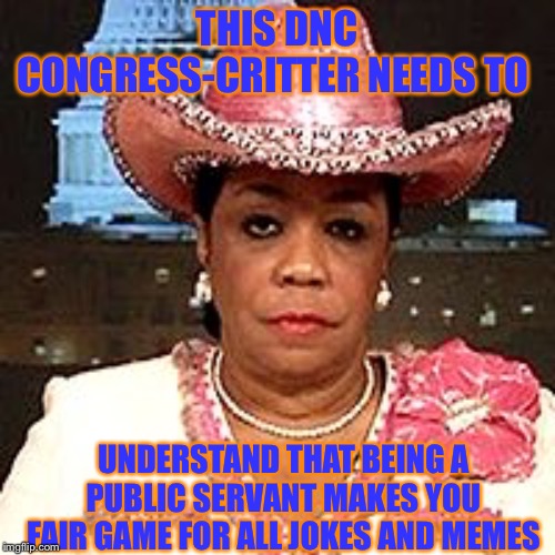 Frederica Wilson | THIS DNC CONGRESS-CRITTER NEEDS TO; UNDERSTAND THAT BEING A PUBLIC SERVANT MAKES YOU FAIR GAME FOR ALL JOKES AND MEMES | image tagged in frederica wilson | made w/ Imgflip meme maker