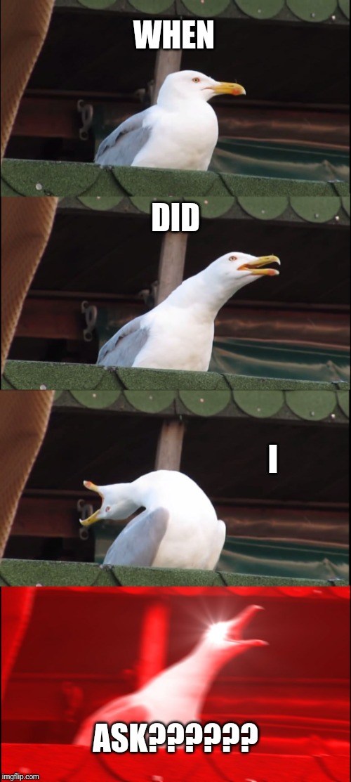 Inhaling Seagull Meme | WHEN; DID; I; ASK?????? | image tagged in memes,inhaling seagull | made w/ Imgflip meme maker