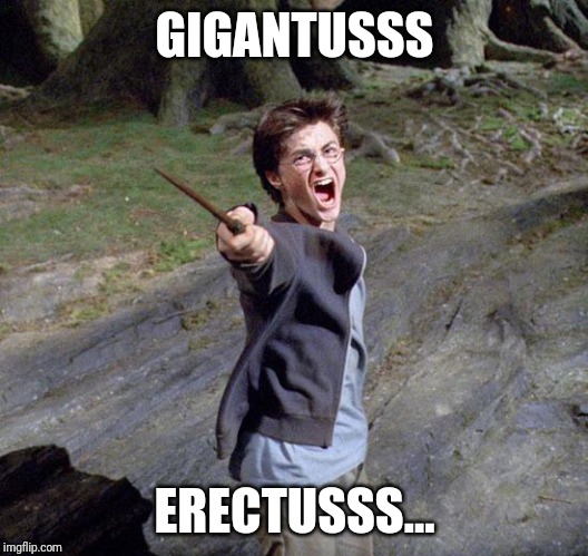 Harry potter | GIGANTUSSS; ERECTUSSS... | image tagged in harry potter | made w/ Imgflip meme maker
