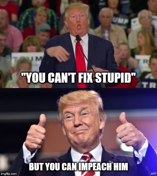 impeach me | "YOU CAN'T FIX STUPID"; BUT YOU CAN IMPEACH HIM | image tagged in impeach trump | made w/ Imgflip meme maker