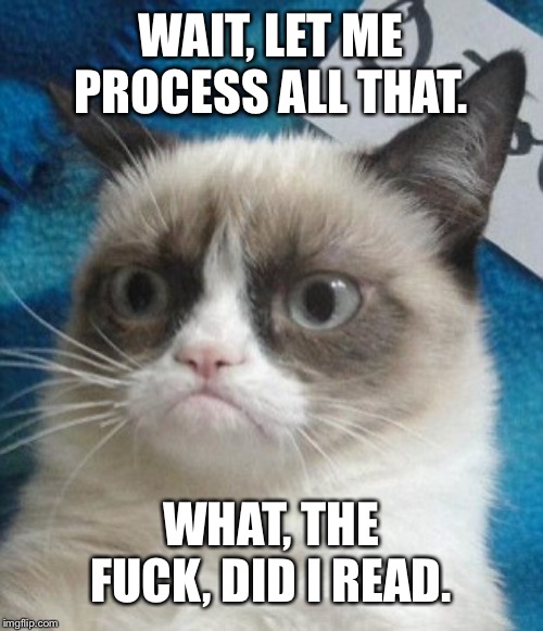 Surprised grumpy cat | WAIT, LET ME PROCESS ALL THAT. WHAT, THE F**K, DID I READ. | image tagged in surprised grumpy cat | made w/ Imgflip meme maker