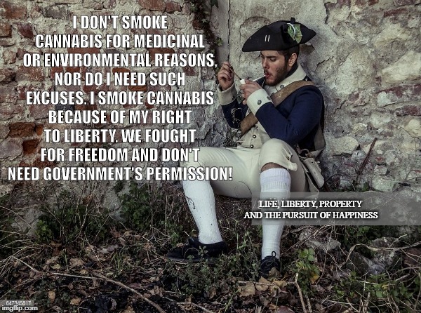 INDEPENDENCE DAY | I DON'T SMOKE CANNABIS FOR MEDICINAL OR ENVIRONMENTAL REASONS, NOR DO I NEED SUCH EXCUSES. I SMOKE CANNABIS BECAUSE OF MY RIGHT TO LIBERTY. WE FOUGHT FOR FREEDOM AND DON'T NEED GOVERNMENT'S PERMISSION! LIFE, LIBERTY, PROPERTY AND THE PURSUIT OF HAPPINESS | image tagged in cannabis,liberty,freedom,4th of july,1776,bill of rights | made w/ Imgflip meme maker