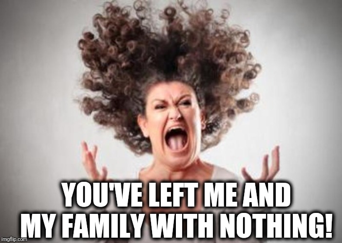 Woman screaming | YOU'VE LEFT ME AND MY FAMILY WITH NOTHING! | image tagged in woman screaming | made w/ Imgflip meme maker