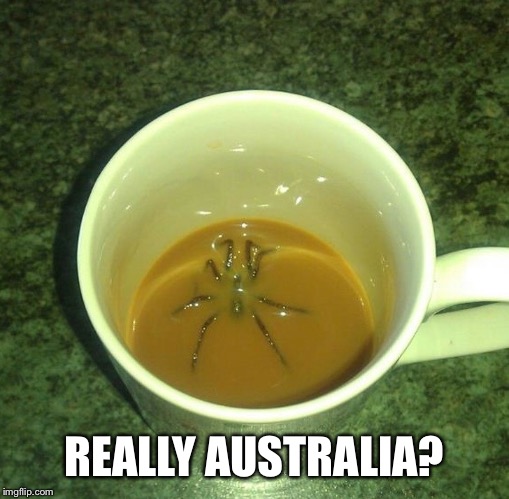 Now I know where the phrase coffee jitters comes from | REALLY AUSTRALIA? | image tagged in just a joke | made w/ Imgflip meme maker