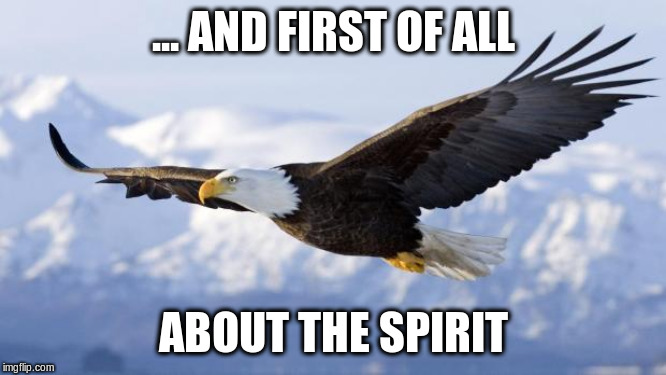eagle | ... AND FIRST OF ALL ABOUT THE SPIRIT | image tagged in eagle | made w/ Imgflip meme maker