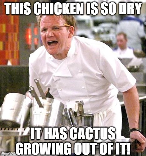 I Like It Moist... | THIS CHICKEN IS SO DRY; IT HAS CACTUS GROWING OUT OF IT! | image tagged in memes,chef gordon ramsay | made w/ Imgflip meme maker