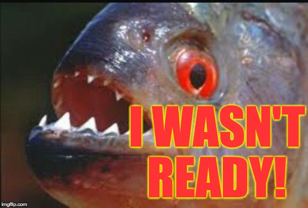 piranha | I WASN'T READY! | image tagged in piranha | made w/ Imgflip meme maker