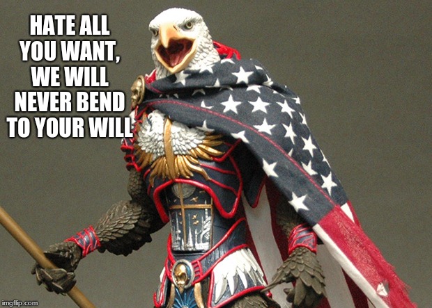 Let Freedom ring | HATE ALL YOU WANT, WE WILL NEVER BEND TO YOUR WILL | image tagged in patriotic defender eagle of america,let freedom ring,4th of july,merica,defend freedom,freedom | made w/ Imgflip meme maker