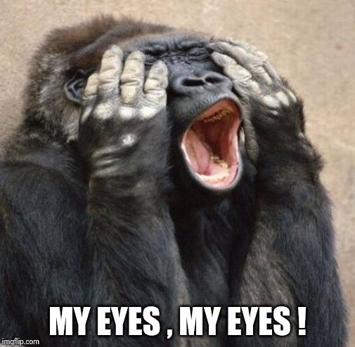 My Eyes Gorilla | MY EYES , MY EYES ! | image tagged in my eyes gorilla | made w/ Imgflip meme maker