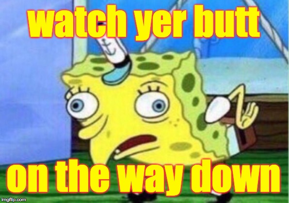 Mocking Spongebob Meme | watch yer butt on the way down | image tagged in memes,mocking spongebob | made w/ Imgflip meme maker