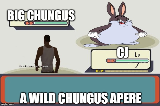 Pokemon Battle | BIG CHUNGUS; CJ; A WILD CHUNGUS APERE | image tagged in pokemon battle | made w/ Imgflip meme maker