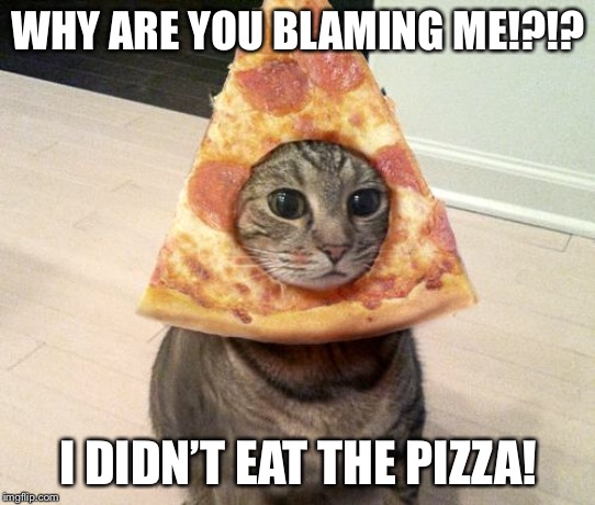 pizza cat | WHY ARE YOU BLAMING ME!?!? I DIDN’T EAT THE PIZZA! | image tagged in pizza cat | made w/ Imgflip meme maker