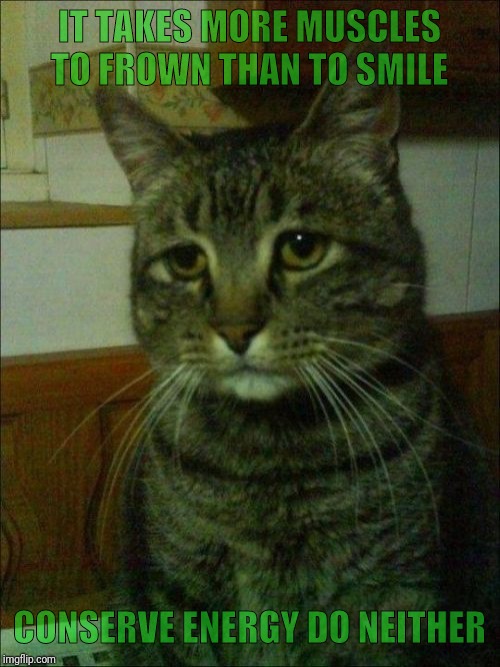 Depressed Cat Meme | IT TAKES MORE MUSCLES TO FROWN THAN TO SMILE; CONSERVE ENERGY DO NEITHER | image tagged in memes,depressed cat | made w/ Imgflip meme maker