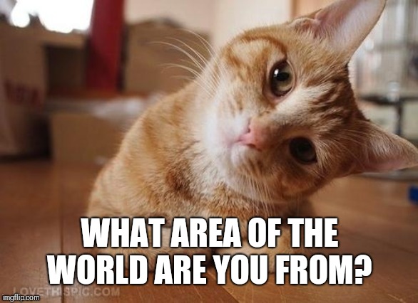 I like knowing who I'm memeing with and a little about them | WHAT AREA OF THE WORLD ARE YOU FROM? | image tagged in curious question cat,latitude,longitude | made w/ Imgflip meme maker