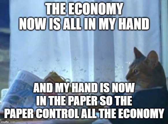 I Should Buy A Boat Cat Meme | THE ECONOMY NOW IS ALL IN MY HAND; AND MY HAND IS NOW IN THE PAPER SO THE PAPER CONTROL ALL THE ECONOMY | image tagged in memes,i should buy a boat cat | made w/ Imgflip meme maker