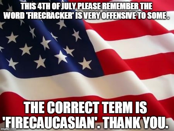 Correct Term | image tagged in fire,cracker,4th of july | made w/ Imgflip meme maker