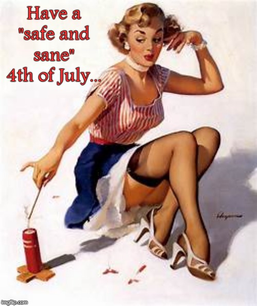 Safe & Sane | Have a "safe and sane" 4th of July... | image tagged in 4th of july,celebrate | made w/ Imgflip meme maker