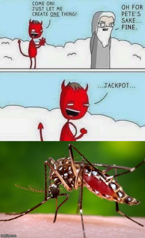 Just one thing! | image tagged in mosquito,one thing,jackpot,devil,god,memes | made w/ Imgflip meme maker