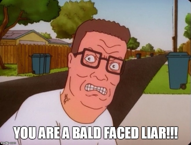 you are a bald faced liar! | YOU ARE A BALD FACED LIAR!!! | image tagged in angry hank hill,hank hill,king of the hill | made w/ Imgflip meme maker