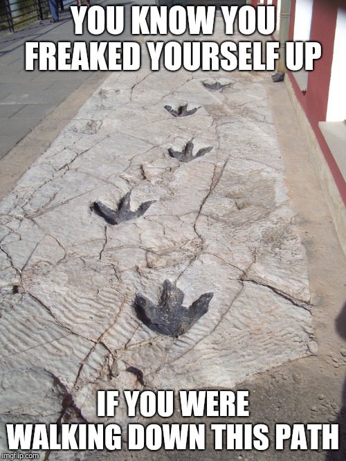 Dino Danger | YOU KNOW YOU FREAKED YOURSELF UP; IF YOU WERE WALKING DOWN THIS PATH | image tagged in dinosaur footprints | made w/ Imgflip meme maker