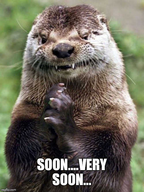 Evil Otter Meme | SOON....VERY SOON... | image tagged in memes,evil otter | made w/ Imgflip meme maker