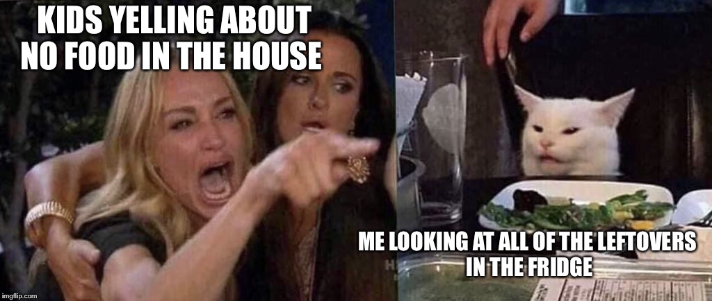 woman yelling at cat | KIDS YELLING ABOUT NO FOOD IN THE HOUSE; ME LOOKING AT ALL OF THE LEFTOVERS 
IN THE FRIDGE | image tagged in woman yelling at cat | made w/ Imgflip meme maker