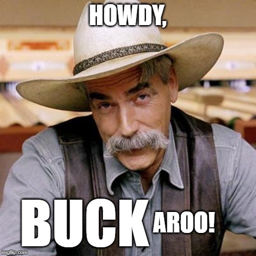 HOWDY, BUCK AROO! | image tagged in sarcasm cowboy | made w/ Imgflip meme maker